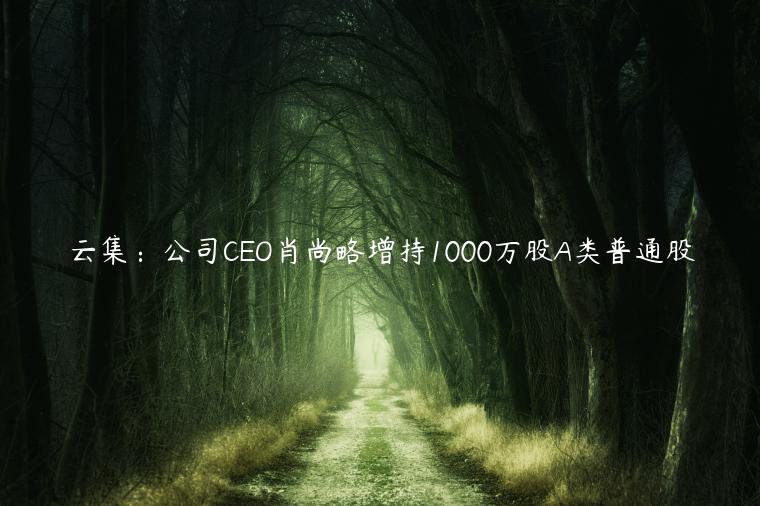 云集：公司CEO肖尚略增持1000萬股A類普通股